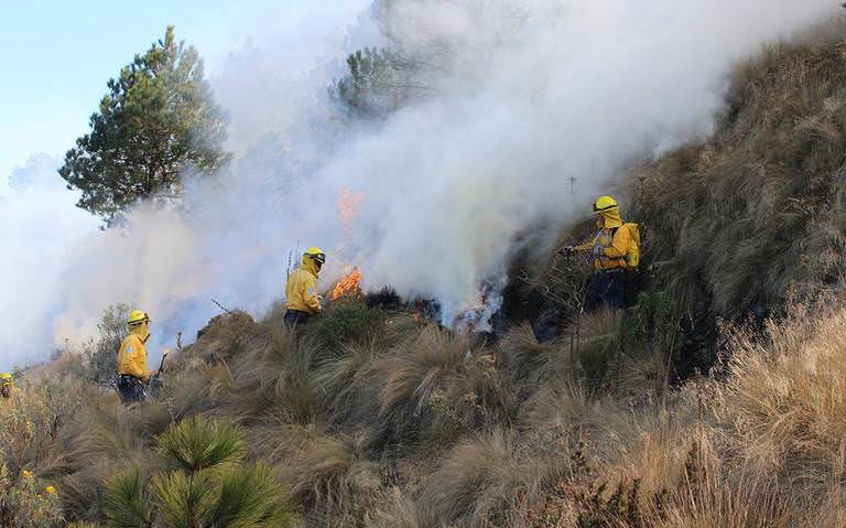 HISTORIA-6-incendios-forestales-FOTO-CORESIA.jpg