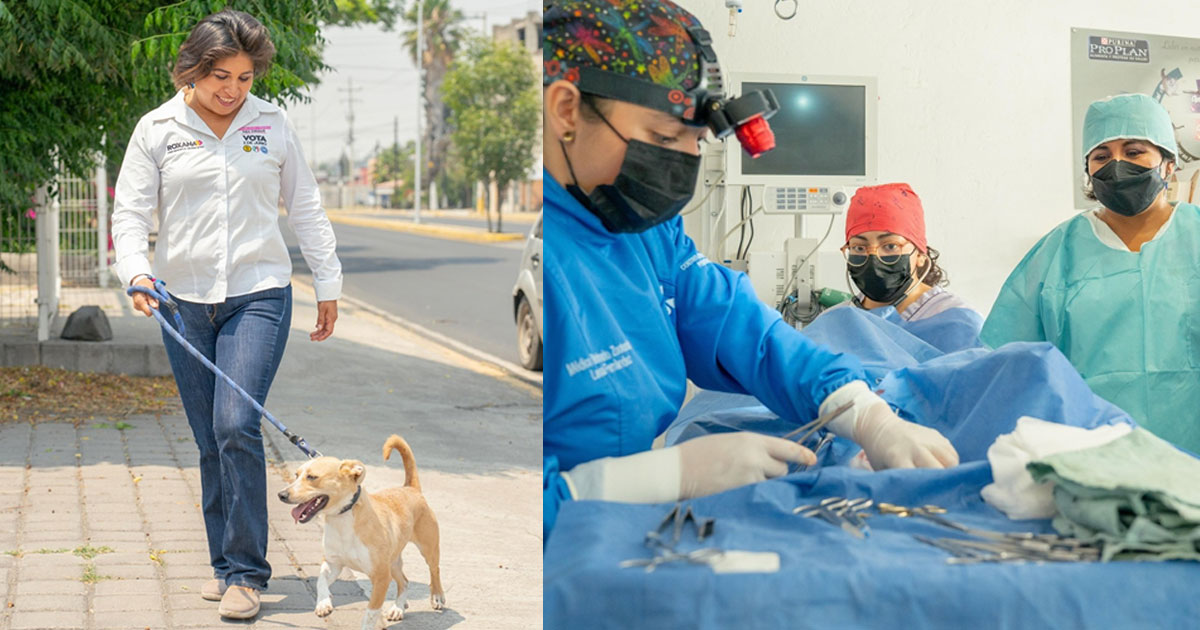 Roxana-Luna-se-compromete-con-el-bienestar-animal-y-la-comunidad-de-San-Pedro-Cholula.jpg